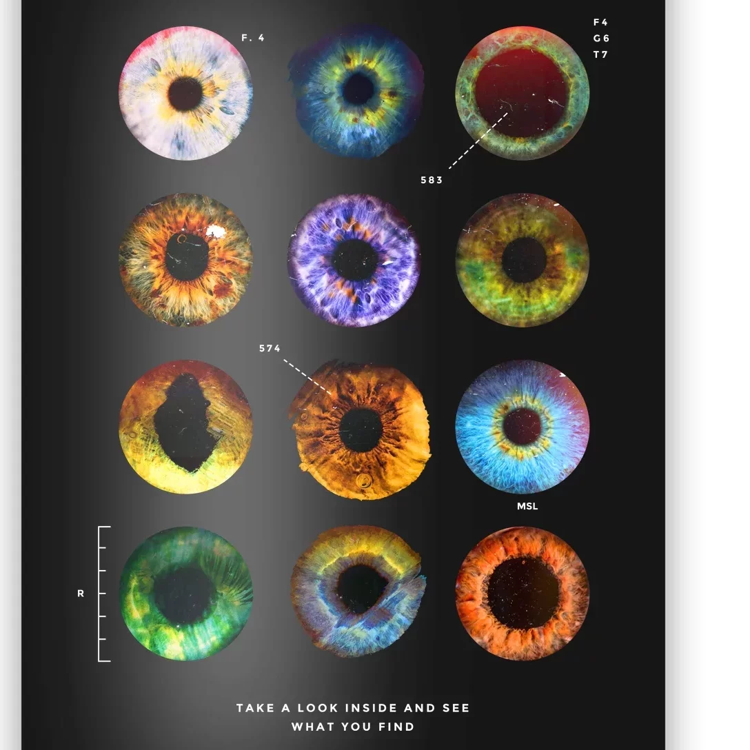 Inside The Eye Poster