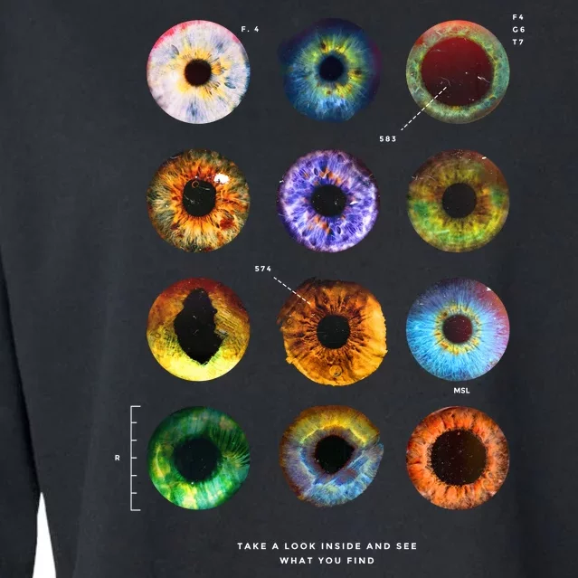 Inside The Eye Cropped Pullover Crew