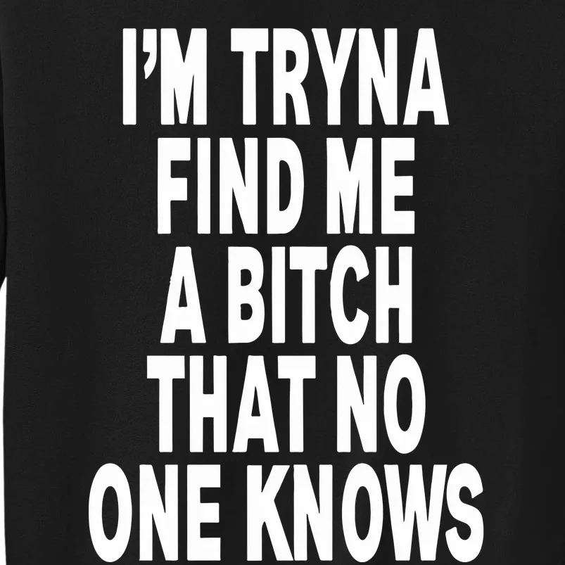 IM Tryna Find Me A Bitch That No One Knows Sweatshirt