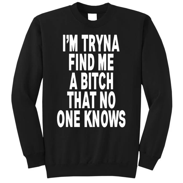 IM Tryna Find Me A Bitch That No One Knows Sweatshirt