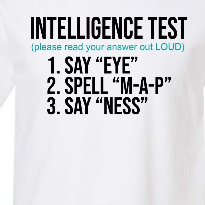 Intelligence Test Funny Message Garment-Dyed Heavyweight T-Shirt