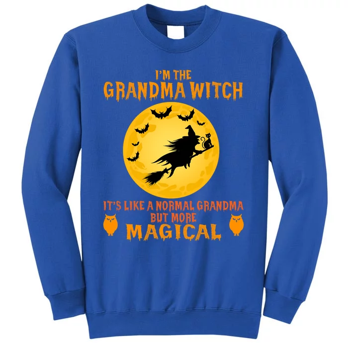 Im The Grandma Witch Halloween Magical Broom Funny Gift Sweatshirt