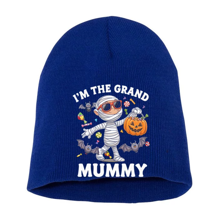 IM The Grand Mummy Halloween Costume Halloween Mummy Gift Short Acrylic Beanie