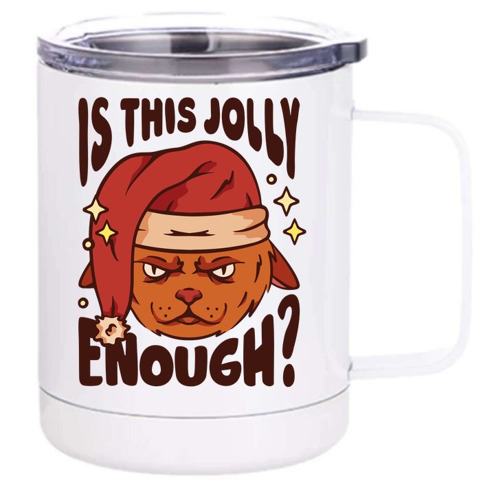 Is This Jolly Enough Anti Christmas Front & Back 12oz Stainless Steel Tumbler Cup