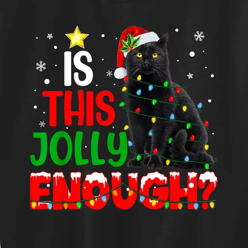 Is This Jolly Enough Funny Cat Xmas Tree Kids Sweatshirt