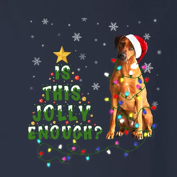 Is This Jolly Enough Rhodesian Ridgeback Dog Light Christmas Toddler Long Sleeve Shirt