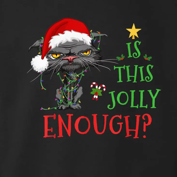 Is This Jolly Enough Cat Christmas Lights Bored Cat Funny Toddler Hoodie