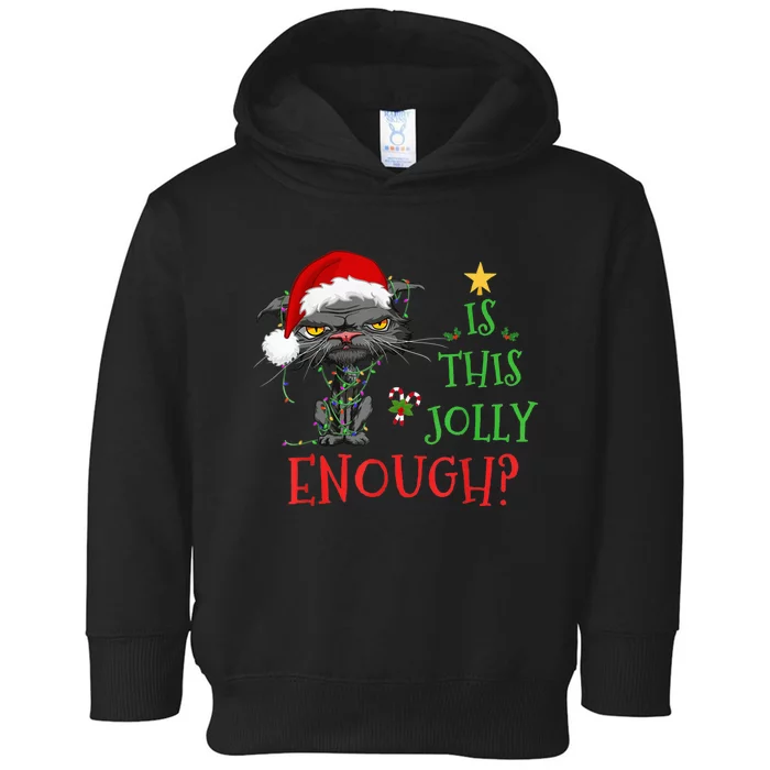 Is This Jolly Enough Cat Christmas Lights Bored Cat Funny Toddler Hoodie