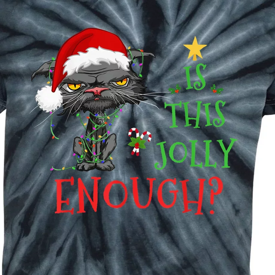 Is This Jolly Enough Cat Christmas Lights Bored Cat Funny Kids Tie-Dye T-Shirt