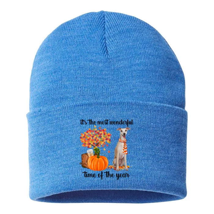 ItS The Most Wonderful Time Of The Year Greyhound Fall Gift Sustainable Knit Beanie