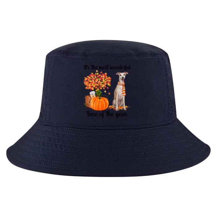 ItS The Most Wonderful Time Of The Year Greyhound Fall Gift Cool Comfort Performance Bucket Hat