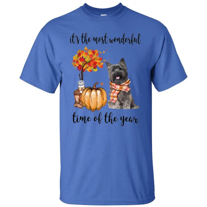 It's The Most Wonderful Time Of The Year Cairn Terrier Cute Gift Tall T-Shirt