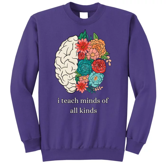 I Teach Minds Of All Kinds Sweatshirt