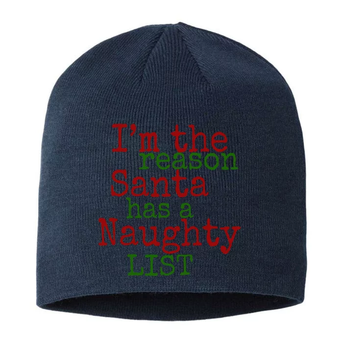 Im The Reason Santa Has A Naughty List Funny Holiday 8 1/2in Sustainable Knit Beanie