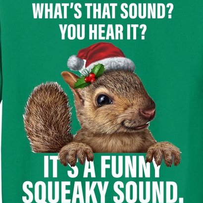 It's A Funny Squeaky Sound Christmas Squirrel Sweatshirt