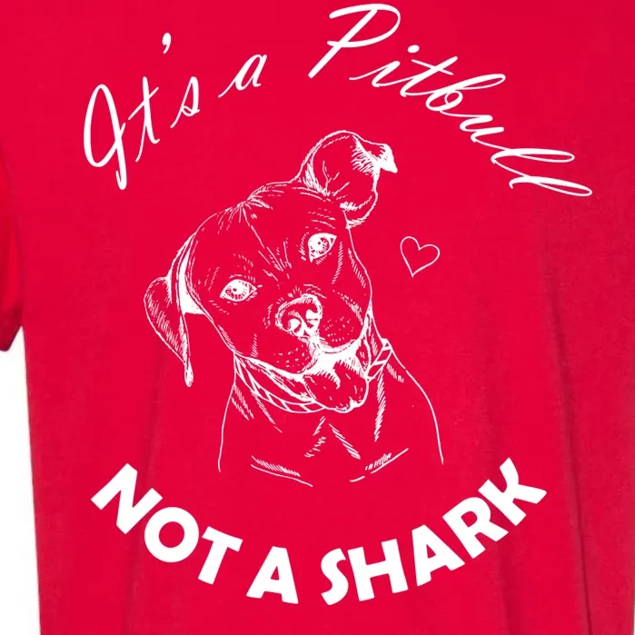 It's A Pitbull Not A Shark Garment-Dyed Heavyweight T-Shirt