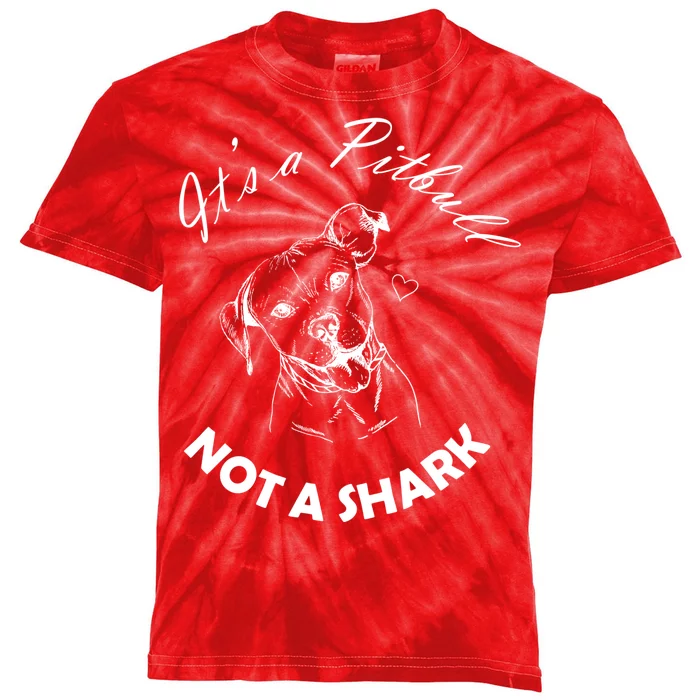 It's A Pitbull Not A Shark Kids Tie-Dye T-Shirt