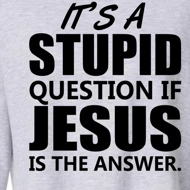 It's A Stupid Question If Jesus Is The Answer Cropped Pullover Crew