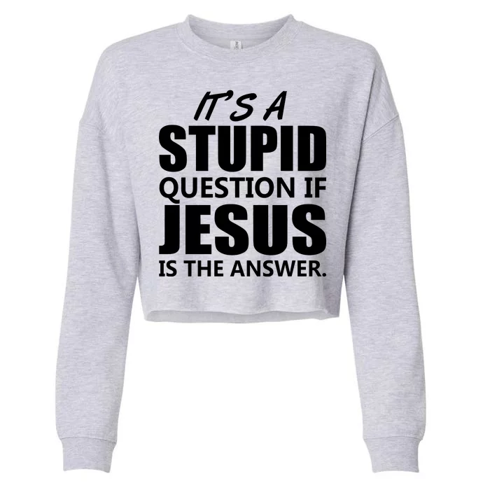 It's A Stupid Question If Jesus Is The Answer Cropped Pullover Crew