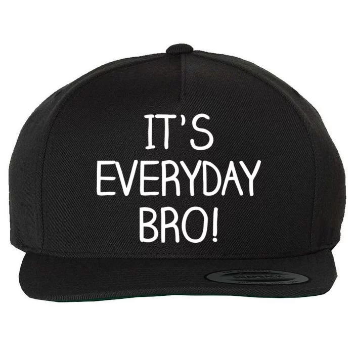 It's Everyday Bro! Funny Wool Snapback Cap