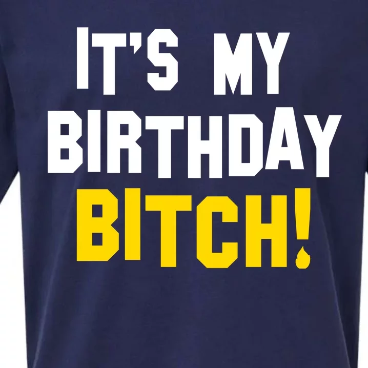 It's My Birthday Bitch! Sueded Cloud Jersey T-Shirt