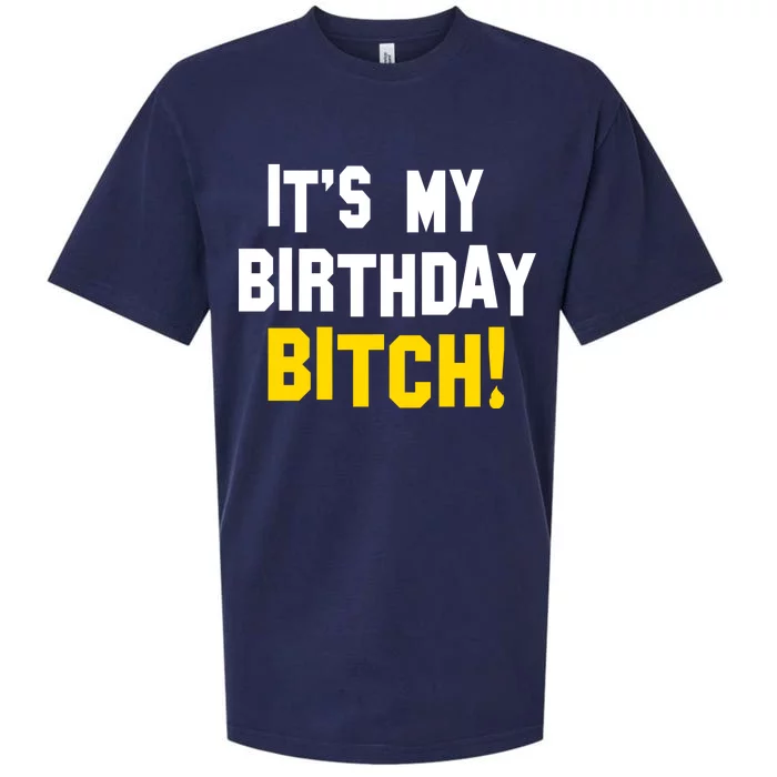 It's My Birthday Bitch! Sueded Cloud Jersey T-Shirt