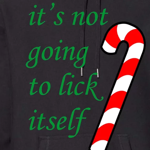 It's Not Going To Lick Itself Funny Naughty Christmas Premium Hoodie