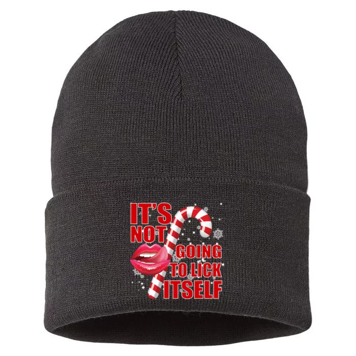 It's Not Going To Lick Itself Funny X-Mas Sustainable Knit Beanie