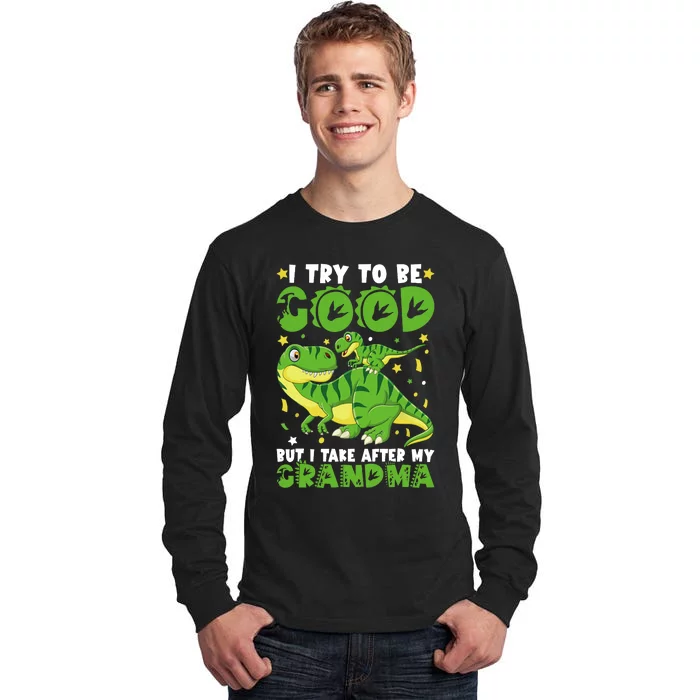 I Try To Be Good But I Take After My Grandma Dinosaur Tall Long Sleeve T-Shirt