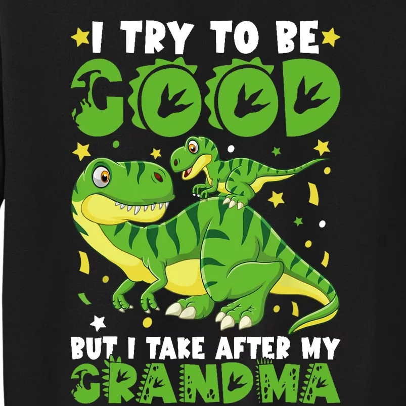 I Try To Be Good But I Take After My Grandma Dinosaur Tall Sweatshirt