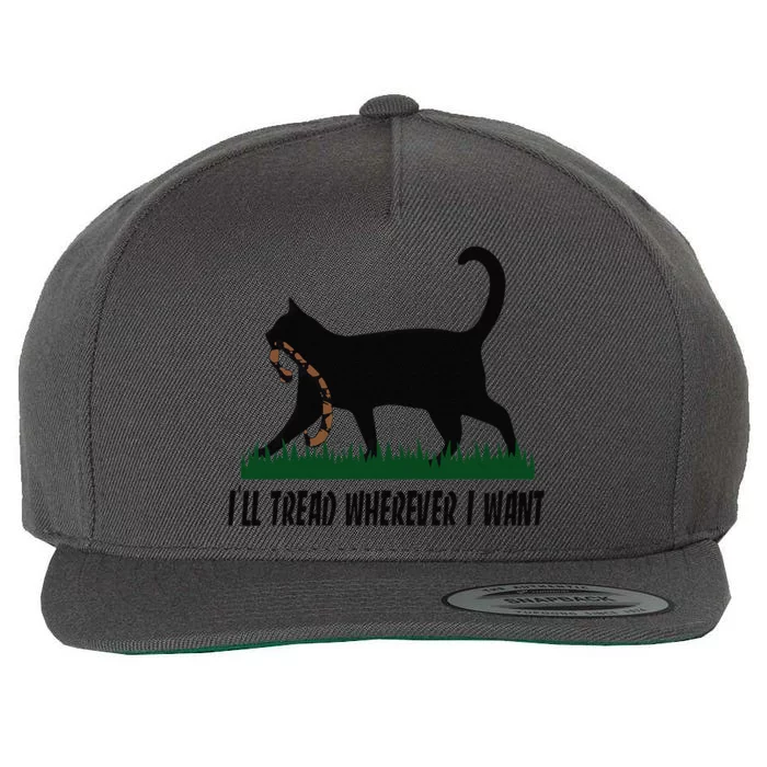 ILl Tread Wherever I Want Cat Ladies For Kamala Funny Gift Wool Snapback Cap