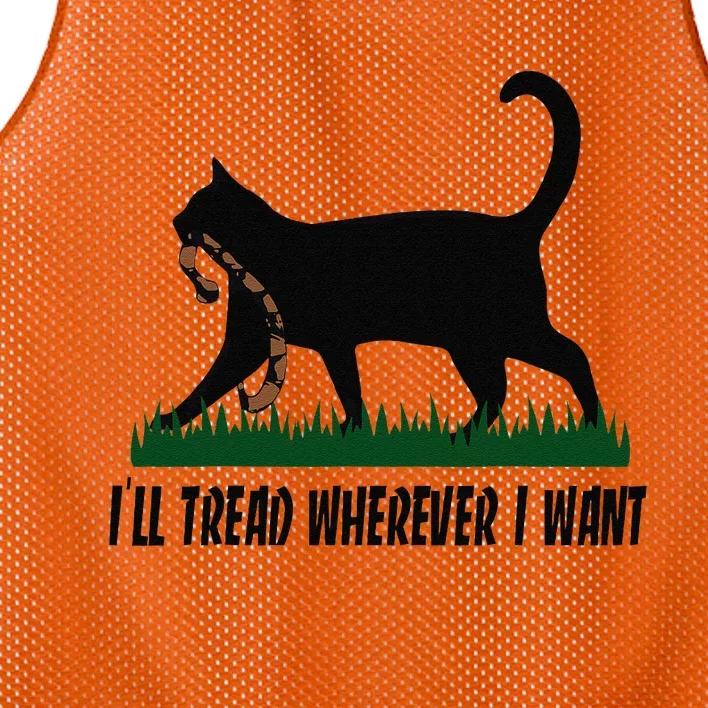 ILl Tread Wherever I Want Cat Ladies For Kamala Funny Gift Mesh Reversible Basketball Jersey Tank