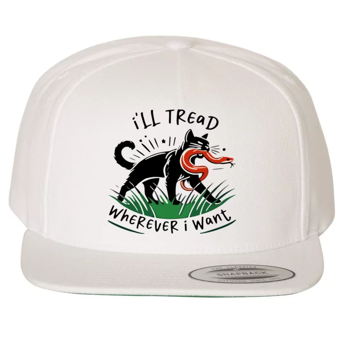 Ill Tread Wherever I Want Cat Ladies For Kamala Madam Wool Snapback Cap