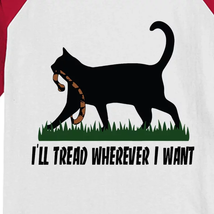 Ill Tread Wherever I Want Cat Ladies For Kamala Funny Kids Colorblock Raglan Jersey