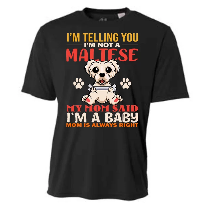 I'm Telling You I'm Not A Maltese My Mom Said I'm A Baby Mom Is Always Right Cooling Performance Crew T-Shirt