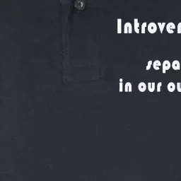 Introverts Unite... Separately In Our Own Homes. Softstyle Adult Sport Polo