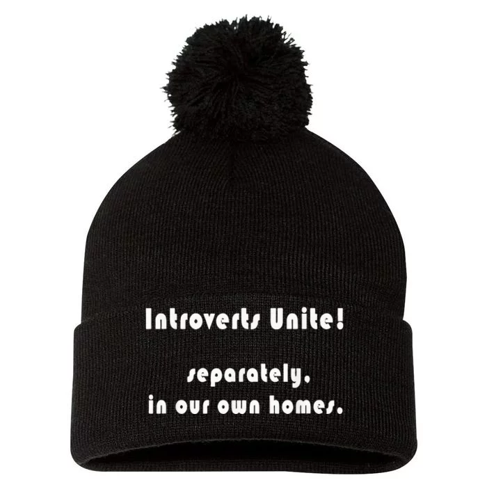 Introverts Unite... Separately In Our Own Homes. Pom Pom 12in Knit Beanie