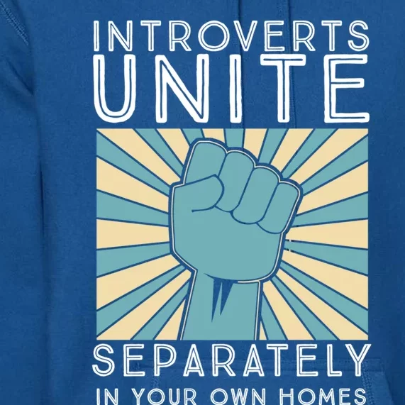 Introverts Unite Separately In Your Own Homes Funny Gift Premium Hoodie