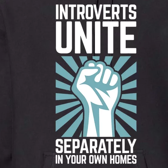 Introverts Unite Separately In Your Own Homes Premium Hoodie