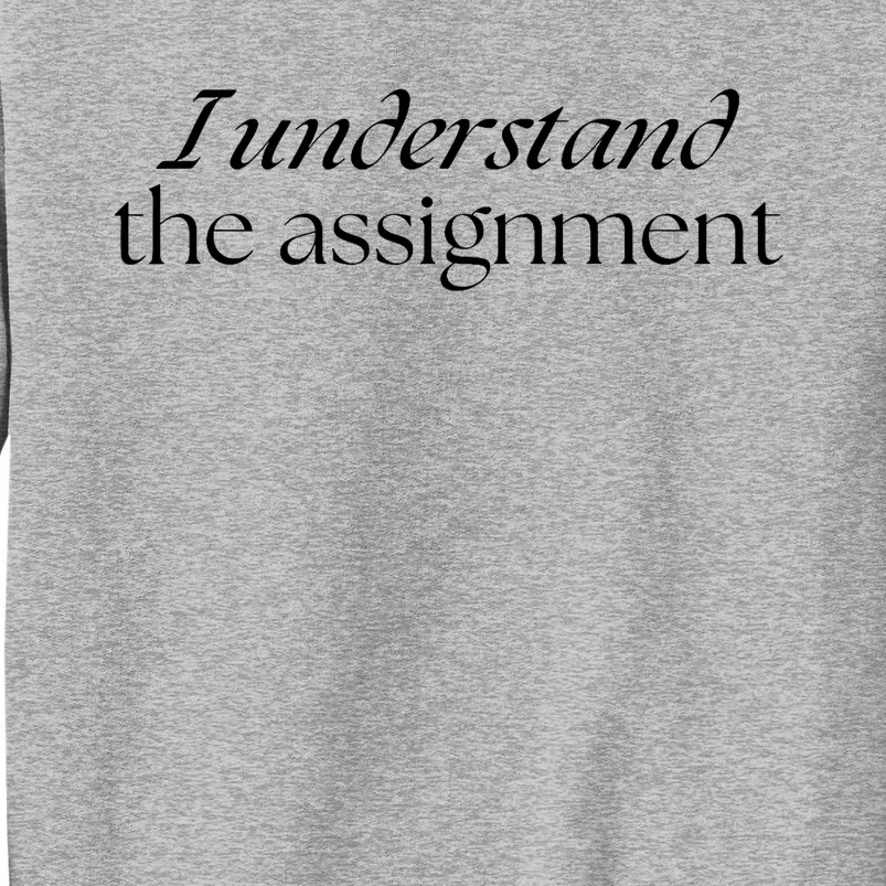 I Understand The Assignment Kamala Harris 2024 Tall Sweatshirt