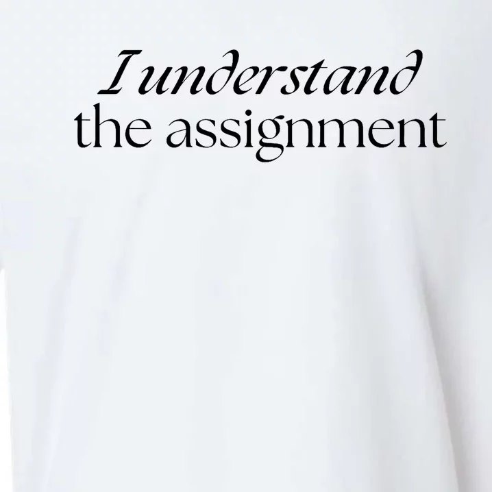 I Understand The Assignment Kamala Harris 2024 Sueded Cloud Jersey T-Shirt