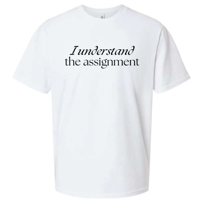 I Understand The Assignment Kamala Harris 2024 Sueded Cloud Jersey T-Shirt