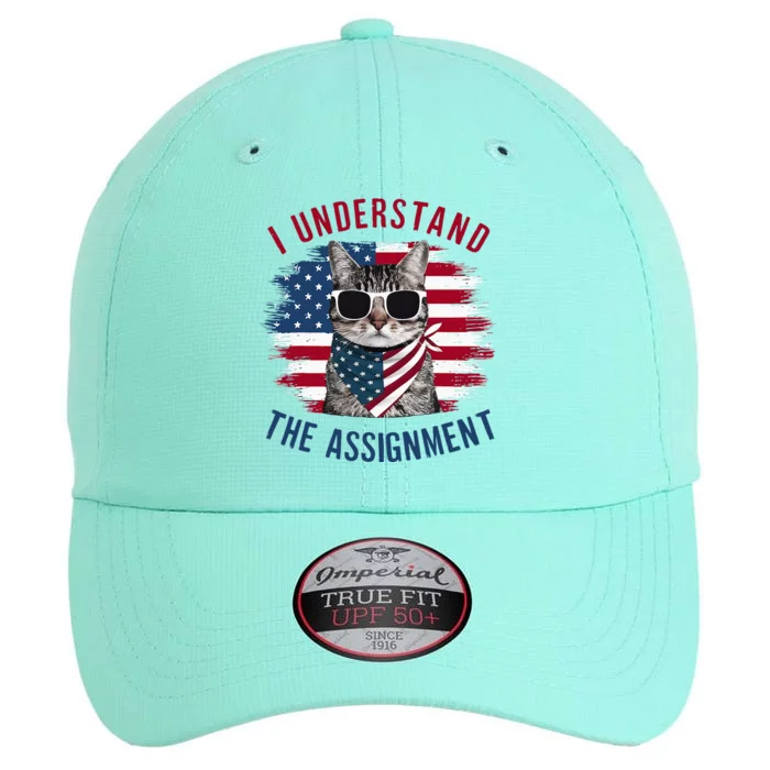 I Understand The Assignment Cat Childless Cat Lady The Original Performance Cap