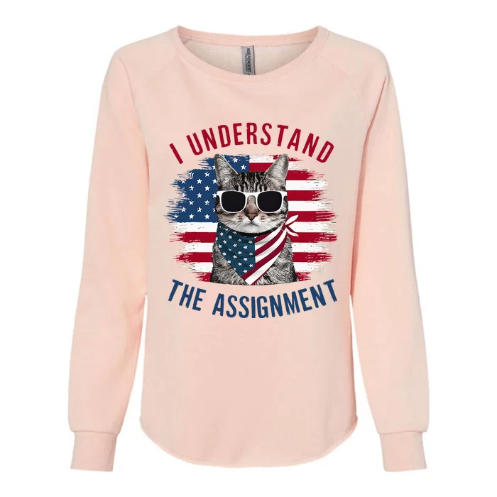 I Understand The Assignment Cat Childless Cat Lady Womens California Wash Sweatshirt