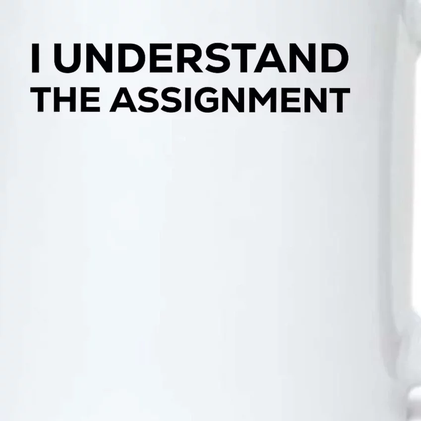 I Understand The Assignment New Memes Black Color Changing Mug