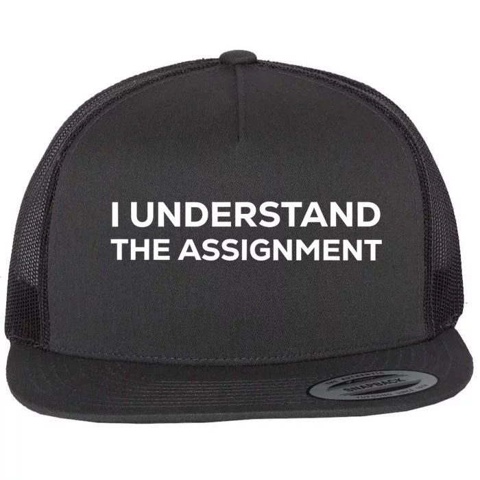 I Understand The Assignment New Memes Flat Bill Trucker Hat