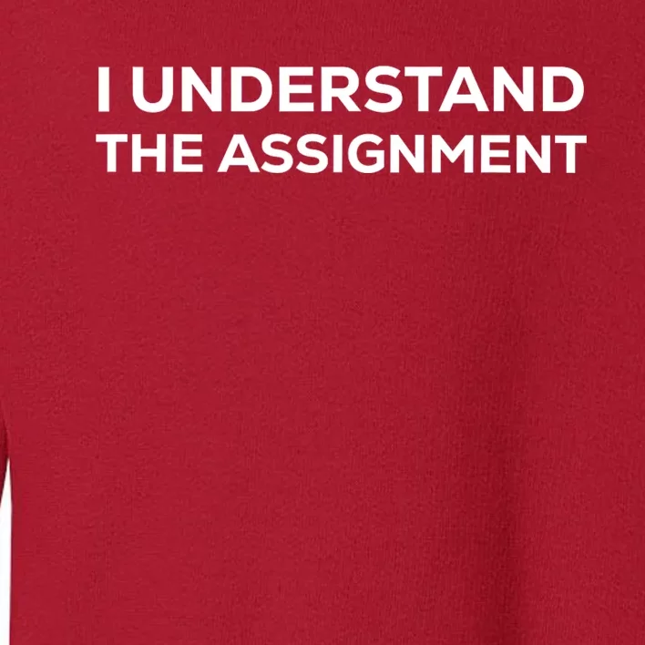 I Understand The Assignment New Memes Toddler Sweatshirt