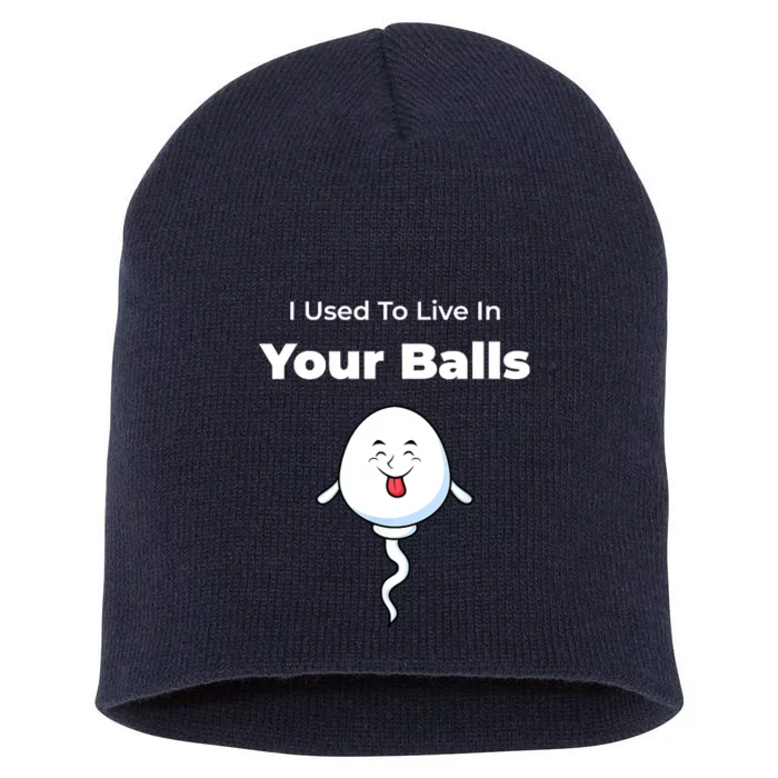 I Used To Live In Your Balls Funny Silly Fathers Day Short Acrylic Beanie