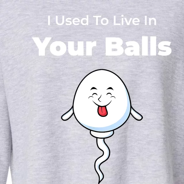 I Used To Live In Your Balls Funny Silly Fathers Day Cropped Pullover Crew