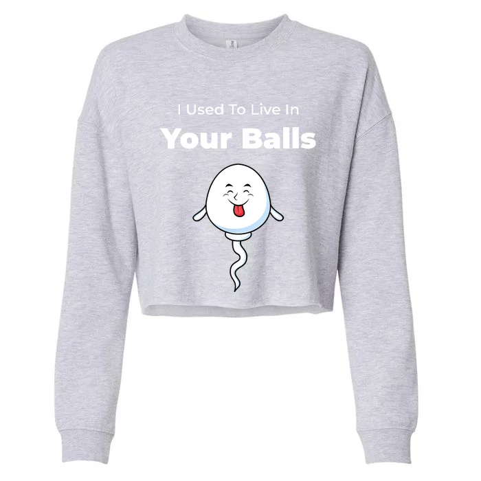 I Used To Live In Your Balls Funny Silly Fathers Day Cropped Pullover Crew